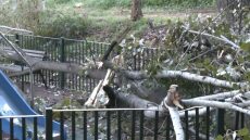 Δέντρο έπεσε σε παιδική χαρά στο Χαϊδάρι, δείτε βίντεο
