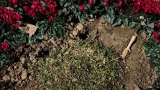 Άγνωστοι ξήλωσαν τη μαρμάρινη πλάκα για τις κακοποιημένες και δολοφονημένες γυναίκες στη Θεσσαλονίκη