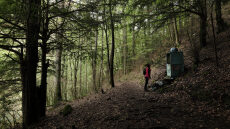 Όλυμπος: Ένας περίπατος στους πρόποδες του Όρους των Θεών

