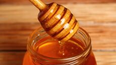 Μέλι Βυτίνας: Ο μελισσοκόμος Γιώργος Παπαντωνίου μάς μιλά για τον λευκό χρυσό της ορεινής Γορτυνίας