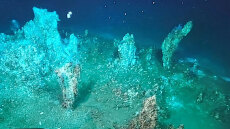 «Μείναμε έκπληκτοι από την ποικιλία και την ομορφιά»: Άγνωστα υποθαλάσσια υδροθερμικά πεδία αποκαλύπτει έρευνα στη Μήλο