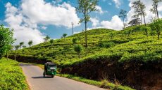 Σρι Λάνκα, το «δάκρυ της Ινδίας»
