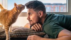 Οι γάτες «χαιρετούν» διαφορετικά τους άνδρες κηδεμόνες τους – Δείτε γιατί