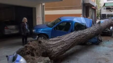 Πτώση δέντρου στη Θεσσαλονίκη προκάλεσε ζημιές σε σταθμευμένα αυτοκίνητα, δείτε βίντεο