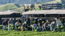 ΗΠΑ: Πακέτο στήριξης 12 δισ. δολαρίων ανακοίνωσε ο Τραμπ για τους αγρότες, είναι «απλά ένα σωσίβιο» απαντούν