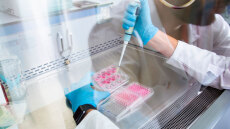 18 παιδιά σε 11 οικογένειες έχουν γεννηθεί στην Ελλάδα με το σπέρμα του Δανού δότη, τουλάχιστον ένα εμφάνισε καρκίνο