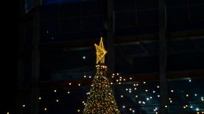 Παρίσι: Η κωμικοτραγική ιστορία του χριστουγεννιάτικου δέντρου που θύμιζε sex toy
