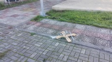 Έκλεψαν χριστουγεννιάτικα δέντρα από κεντρικά σημεία της Εύβοιας