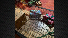 Θρασύτατοι διαρρήκτες στη Λαμία δεν δίστασαν να «ανοίξουν» το σπίτι του Άγιου Βασίλη, δείτε φωτογραφίες