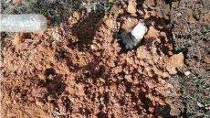 «Είναι να αναρωτιέσαι ποιος έχει 2 και ποιος 4 πόδια»: Το μήνυμα της ΕΛΑΣ για τις ανατριχιαστικές φωτογραφίες του σκύλου που έθαψε ζωντανό 90χρονος