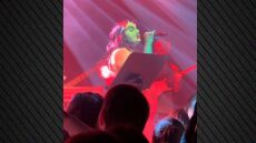 Η Χρυσηίδα Γκαγκούτη μεταμορφώθηκε σε Γκριντς σε συναυλία της