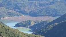 Άρτα: Χιλιάδες κορμοί δέντρων έχουν καλύψει τη λίμνη Πουρναρίου μετά τις ισχυρές βροχοπτώσεις