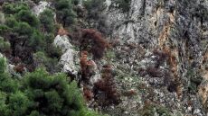 Ανθρώπινος σκελετός που ανήκει σε μία από τις δύο εξαφανισμένες Γαλλίδες τουρίστριες εντοπίστηκε στη Σίκινο