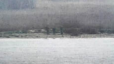 Διπλωματικό επεισόδιο Ταλίν - Μόσχας: Ρώσοι συνοριοφύλακες μπήκαν σε έδαφος της Εσθονίας και παρέμεναν για 20 λεπτά