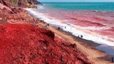 Η θάλασσα έγινε... κόκκινη σε νησί του Ιράν, η εξήγηση Κολυδά για το φαινόμενο