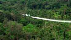 Υπό αμερικανική πίεση η Κολομβία ξεκινά ψεκασμούς κόκας με drones 