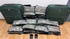 Συνελήφθη 29χρονη στο «Ελ. Βενιζέλος» με πάνω από 24 κιλά κάνναβης στις αποσκευές της