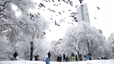 Χιονοθύελλα «παγώνει» τη Νέα Υόρκη, πάνω από 1.600 ακυρώσεις πτήσεων και χάος στις μετακινήσεις