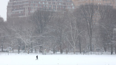 Σε κατάσταση έκτακτης ανάγκης η Νέα Υόρκη λόγω ισχυρής χιονοθύελλας, χάος σε πτήσεις, δρόμους και ηλεκτροδότηση
