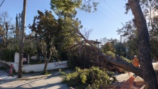 Οι ισχυροί άνεμοι σάρωσαν την Κεντρική Μακεδονία: 710 κλήσεις στην πυροσβεστική, 141 κοπές δέντρων στη Θεσσαλονίκη