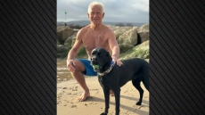 Σκύλος ήρωας έσωσε τον ιδιοκτήτη του που κατέρρευσε σε άδεια παραλία, πώς κατάφερε να φωνάξει βοήθεια