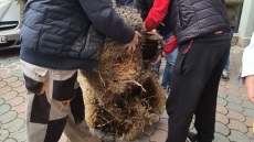 Στο κέντρο των Τρικάλων έφτασαν οι αγρότες με τα τρακτέρ, πέταξαν σανό σε γραφεία βουλευτών