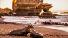 Γκαλαπάγκος: Πώς θα κάνουμε αυτό το ταξίδι-όνειρο ζωής με σεβασμό στο περιβάλλον
