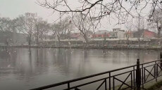 Ιωάννινα στα λευκά: Χιονίζει στο κέντρο της πόλης, μαγευτικές εικόνες από τα ορεινά της Κόνιτσας