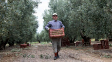 Άνοιγμα σε αγορά 300 εκατ. καταναλωτών για τα ελληνικά προϊόντα από τη συμφωνία ΕΕ-Mercosur: Οφέλη για λάδι, τυριά, ακτινίδια, ροδάκινα, αρτοσκευάσματα 