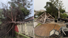 Ανεμοστρόβιλος χτύπησε το Μεσολόγγι: Ξερίζωσε δέντρα και ξήλωσε μεταλλικές κατασκευές, δείτε βίντεο και φωτογραφίες