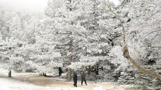 Έπεσαν τα πρώτα χιόνια στην Πάρνηθα, δείτε εντυπωσιακές φωτογραφίες