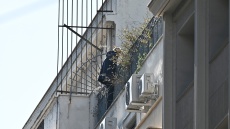 Άνδρας απειλεί να πέσει από το κτίριο της πολεοδομίας στην Ομόνοια, «το κάνει γιατί στις 25 του μήνα θα μας γκρεμίσουν ένα δωμάτιο», λέει η κόρη του