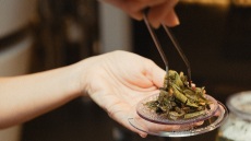 Γευσιγνωσία τσαγιού: Πώς ο Cézanne μεταφράστηκε σε ένα φλιτζάνι βότανα