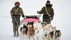 Η Sirius Dog Sled Patrol δεν είναι απλά... δυο έλκηθρα με σκύλους: Η επίλεκτη μονάδα της Γροιλανδίας κάνει πέντε μήνες περιπολία ακόμα και στους -55 βαθμούς Κελσίου