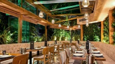 Mayor: Για μοσχαρίσια μάγουλα λιώμα, προφιτερόλ XL και εκλεκτά κρασιά στο Κολωνάκι