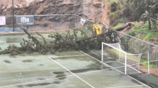 Έπεσαν δέντρα σε γήπεδο ποδοσφαίρου στην Ηλιούπολη