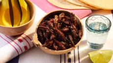 Πρωτεΐνη από έντομα ή κρέας; Οι ειδικοί αναλύουν τη νέα τάση
