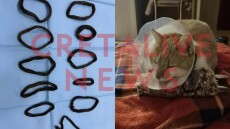 Αφαίρεσαν από την κοιλιά γάτας 11 λαστιχάκια για τα μαλλιά 