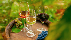 Ινδία: Οι ευκαιρίες για το ελληνικό κρασί, ελαιόλαδο και ακτινίδιο από τη «μητέρα των συμφωνιών»