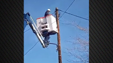 Επιχείρηση της ΕΛΑΣ στο Μενίδι με 9 συλλήψεις, ξήλωσαν καλώδιο 610 μέτρων που χρησιμοποιούνταν για ρευματοκλοπές