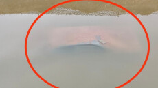 Στο φως βυθισμένο αυτοκίνητο στο ρέμα Κόρμπι στη Βάρη μετά την κακοκαιρία, δείτε βίντεο 