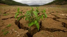 Τουρκία: Κίνδυνος επισιτιστικής κρίσης λόγω ξηρασίας