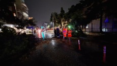 Δένδρα- παγίδες στους δρόμους της Νέας Σμύρνης και το περίφημο άλσος χωρίς... πράσινο 