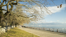 Ιωάννινα: Δραστηριότητες για εναλλακτικό τουρισμό όλο τον χρόνο