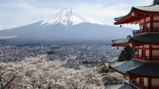 Θύμα του υπερτουρισμού φεστιβάλ για τις ανθισμένες κερασιές στην Ιαπωνία, ακυρώθηκε γιατί δεν άντεχαν τόσους επισκέπτες
