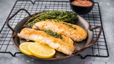 Ψάρια και θαλασσινά: 11 συνταγές πλούσιες σε γεύση και πρωτεΐνη
