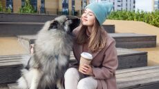 Τα μυστικά του σκύλου: Πώς επιλέγει τον αγαπημένο του άνθρωπο