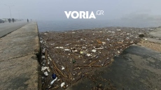 Θεσσαλονίκη: Θλιβερές εικόνες με πλαστικά, καλαμιές και φελιζόλ στον Θερμαϊκό 