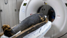 Αξονικές τομογραφίες αποκαλύπτουν τα πρόσωπα, τις ασθένειες και τα μυστικά δύο αιγυπτιακών μουμιών 2.000 ετών