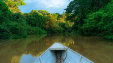 
Ο Αμαζόνιος μέσα από τον φακό: Εκεί όπου το ποτάμι γίνεται η αρχή μιας ολόκληρης ζωής